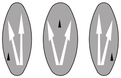 Furcation arrow marking